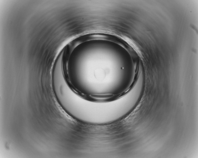 X0000094231238200710261250