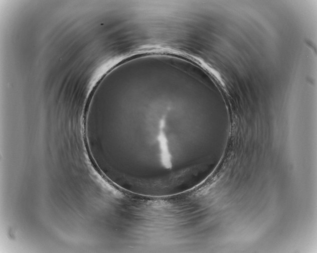 X0000094231239200710261250