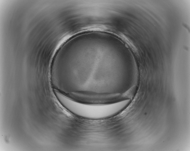 X0000094231240200710261250