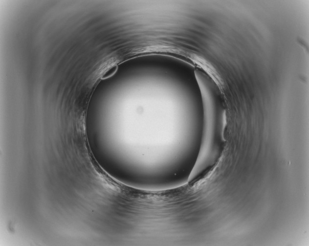 X0000094231241200710261250