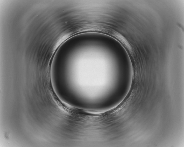 X0000094231242200710261250
