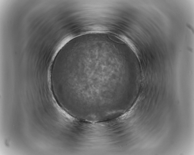 X0000094231243200710261250