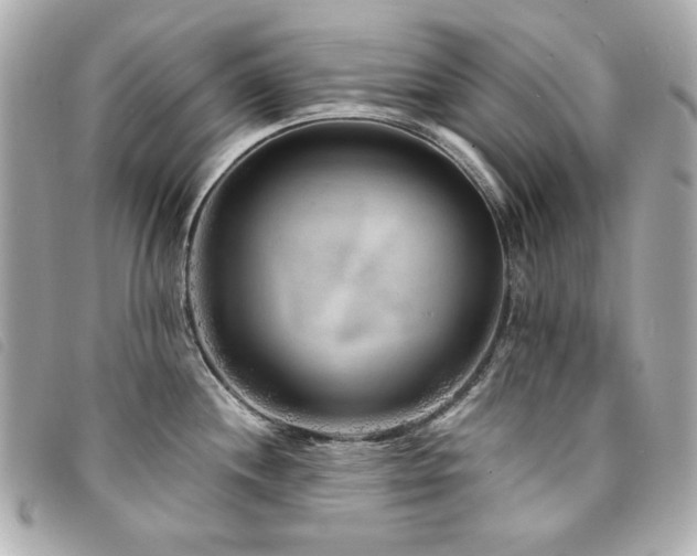 X0000094231244200710261250