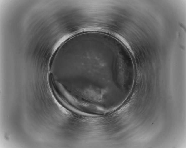 X0000094231245200710261250