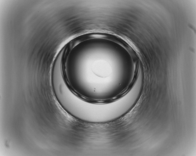 X0000094231246200710261250