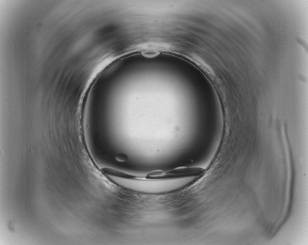 X0000094231248200710261250
