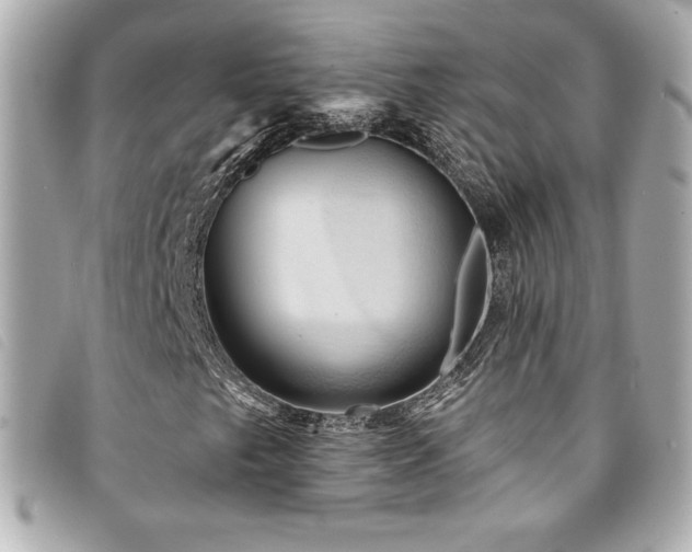 X0000094231249200710261250