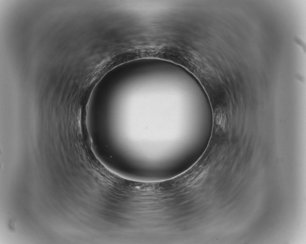 X0000094231252200710261249