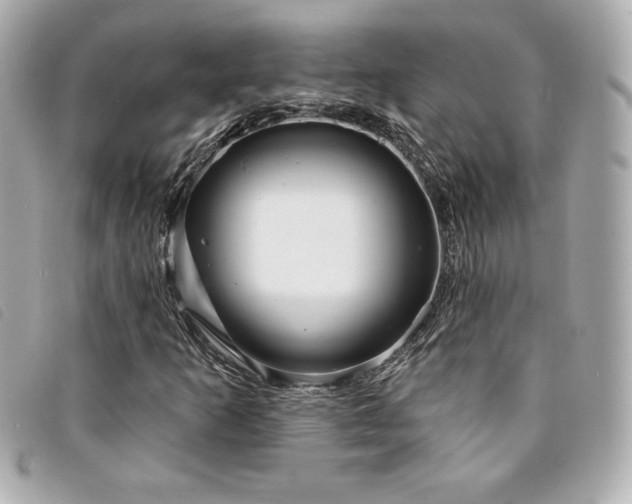 X0000094231253200710261249