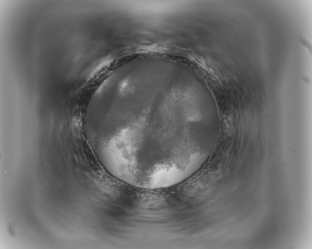 X0000094231254200710261249