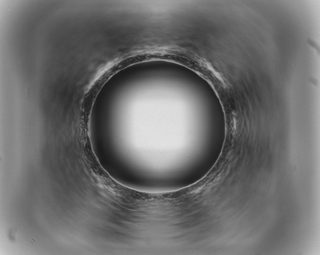 X0000094231256200710261249