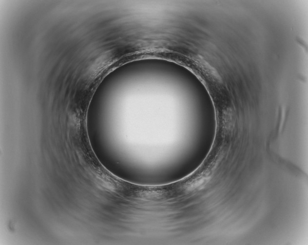 X0000094231257200710261249