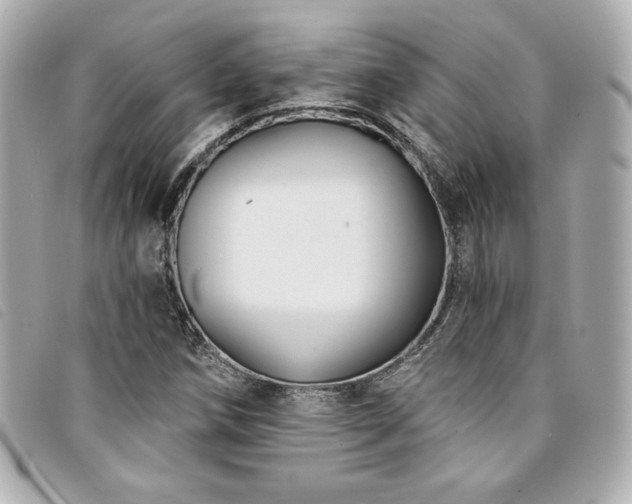 X0000094231258200710261249