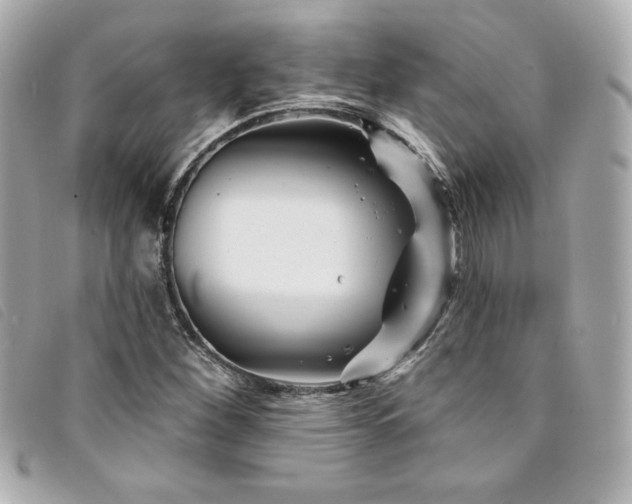 X0000094231260200710261249