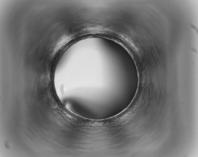 X0000094231261200710261249