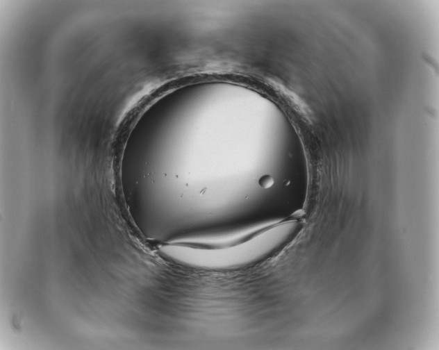 X0000094231262200710261249