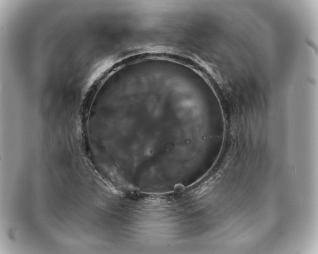 X0000094231263200710261249
