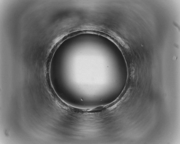 X0000094231264200710261249