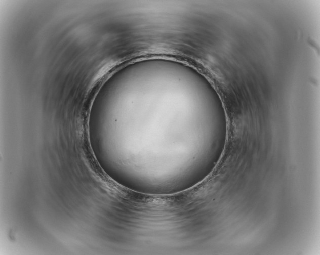 X0000094231266200710261249