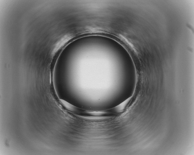 X0000094231269200710261249