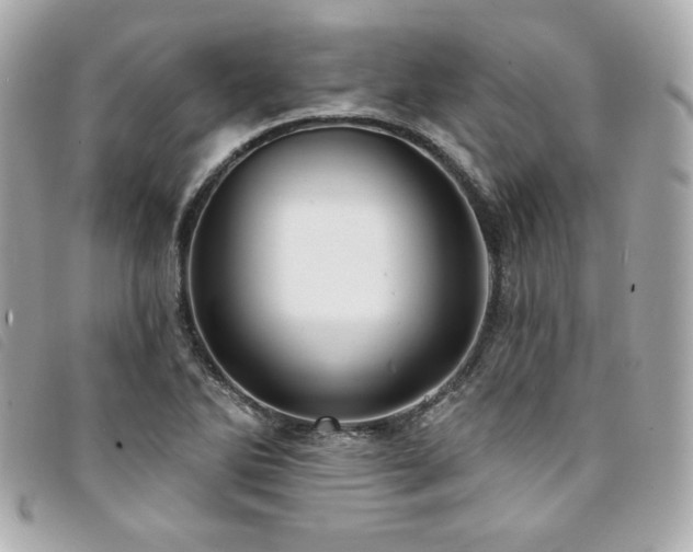 X0000094231270200710261249