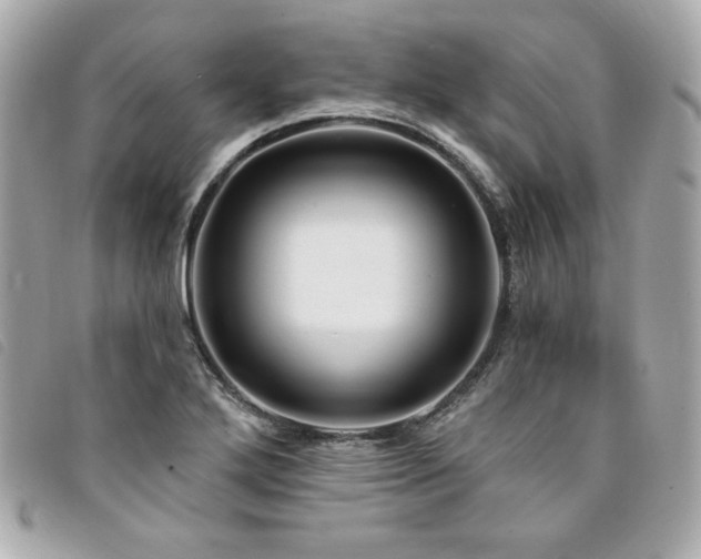 X0000094231272200710261249