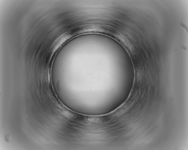 X0000094231274200710261249