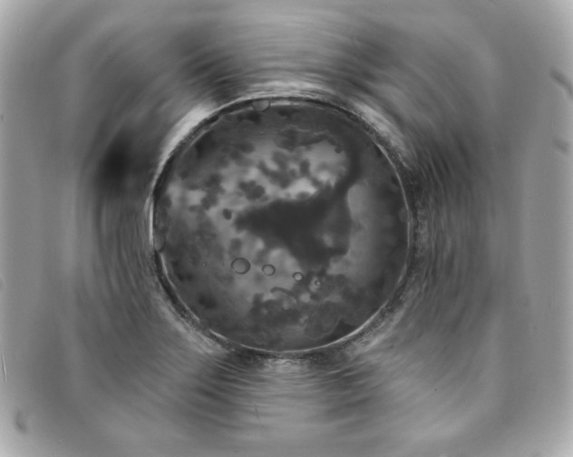 X0000094231275200710261249