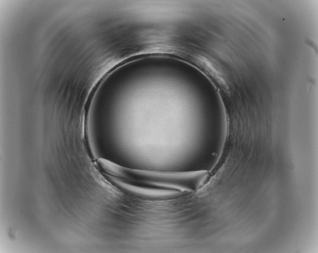 X0000094231276200710261249