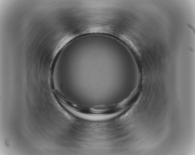 X0000094231277200710261249