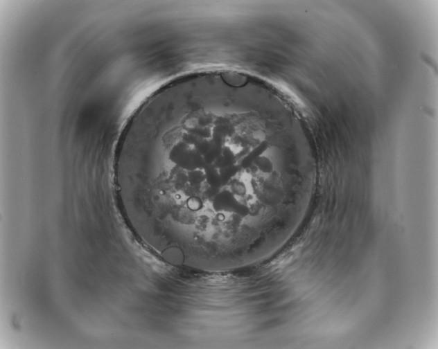 X0000094231279200710261249