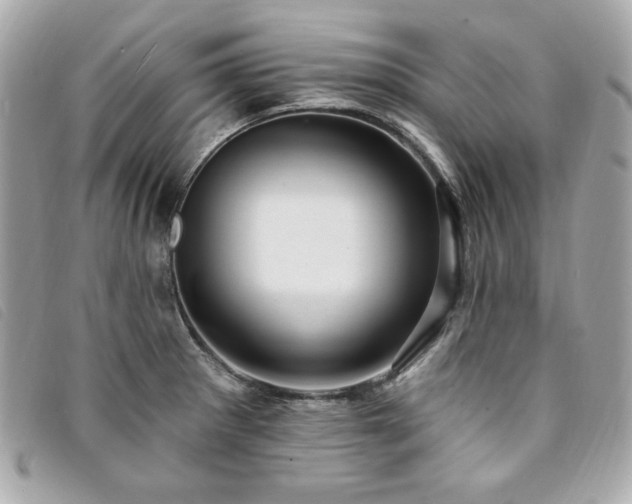 X0000094231281200710261249