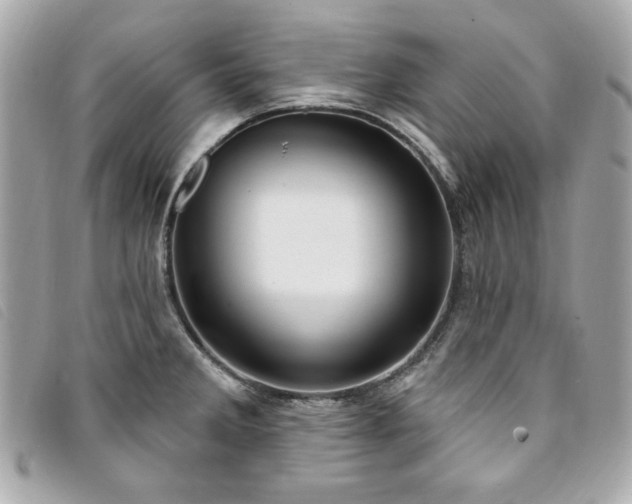 X0000094231285200710261249