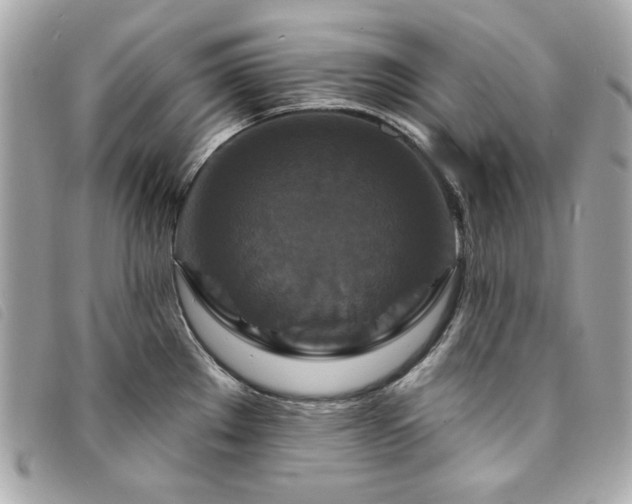 X0000094231289200710261249
