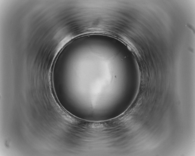 X0000094231291200710261249