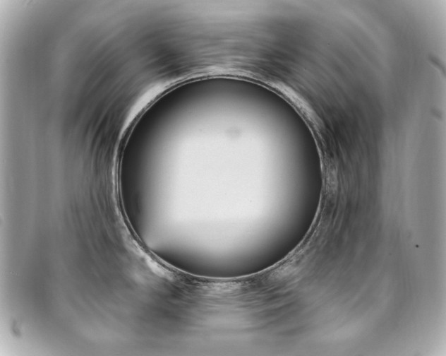 X0000094231294200710261249