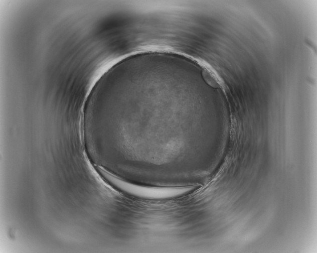 X0000094231295200710261249