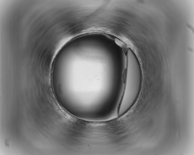 X0000094231296200710261249