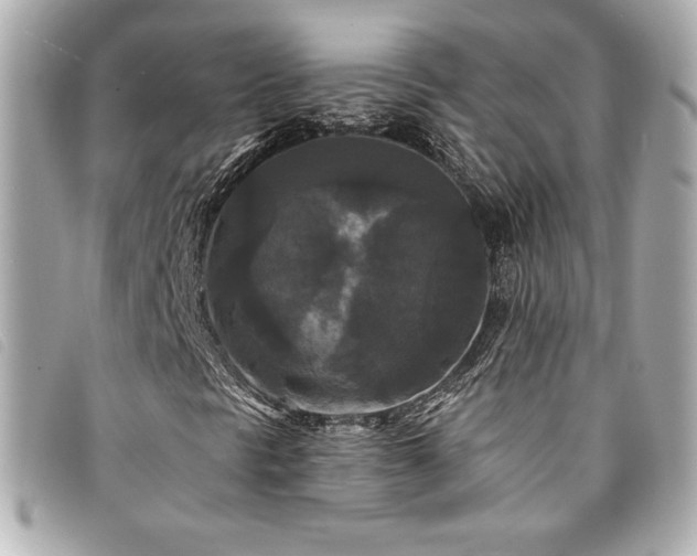 X0000094231297200710261248