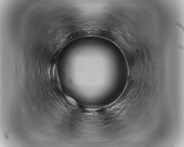 X0000094231298200710261248