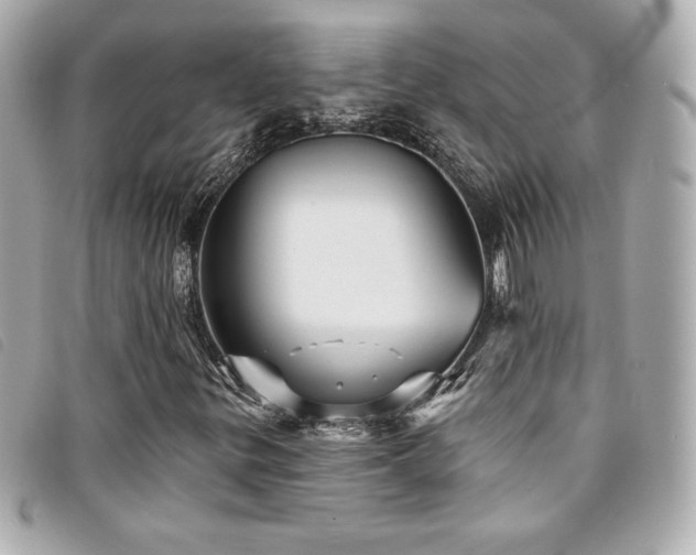 X0000094231299200710261248