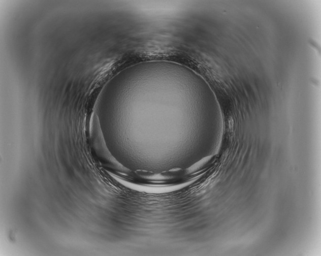 X0000094231300200710261248