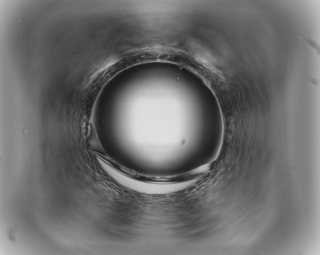 X0000094231302200710261248