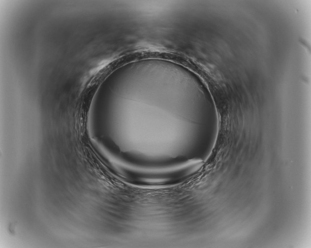 X0000094231303200710261248