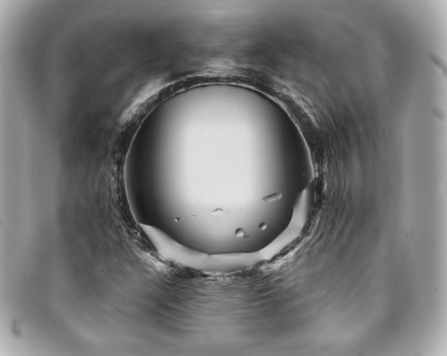 X0000094231304200710261248