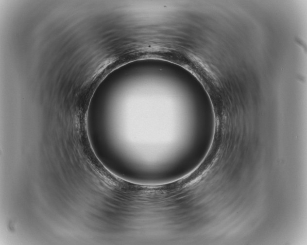 X0000094231305200710261248