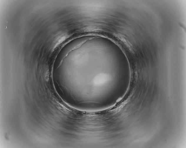 X0000094231306200710261248