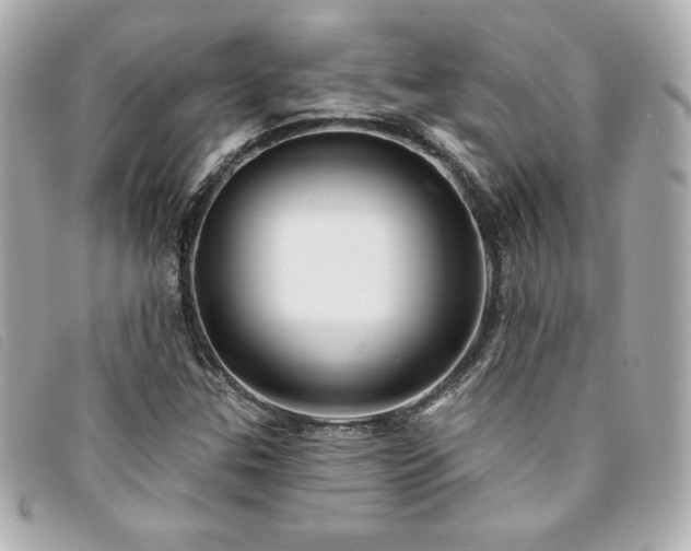 X0000094231307200710261248