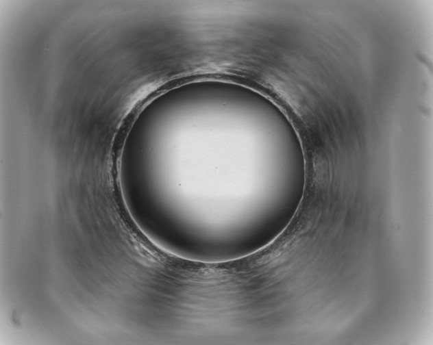 X0000094231308200710261248