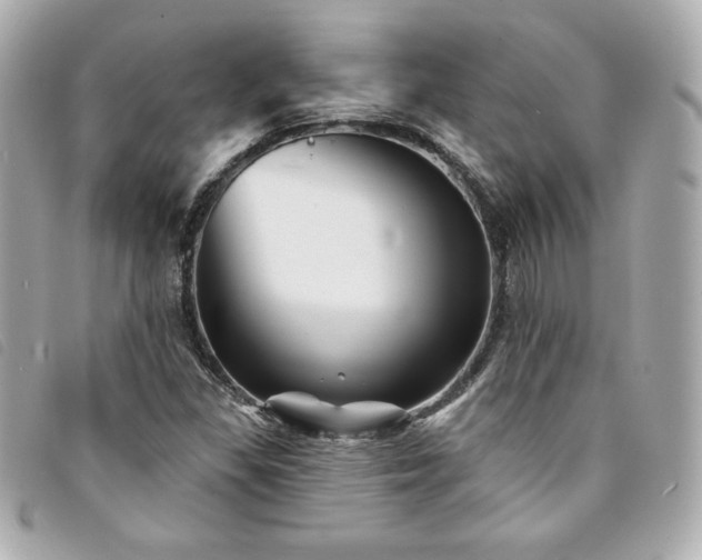 X0000094231309200710261248